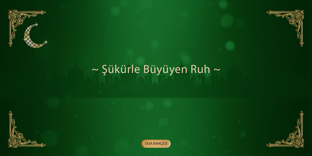 Şükürle Büyüyen Ruh